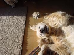 Clic pour agrandir l'image (1024x768 pixels; 136 KB)