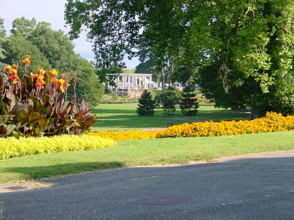 clic ici pour suivante