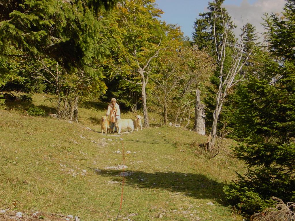 clic ici pour suivante