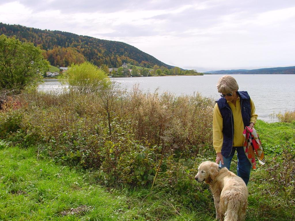 clic ici pour suivante