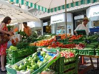 1207.jpg (105505 bytes)