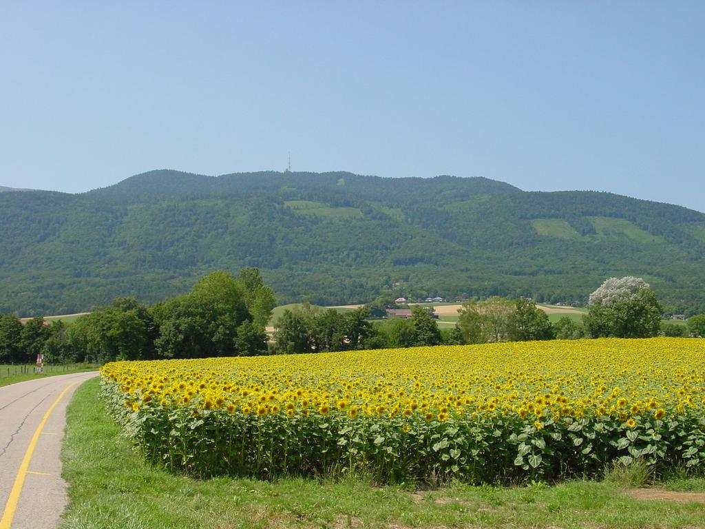 clic ici pour suivante