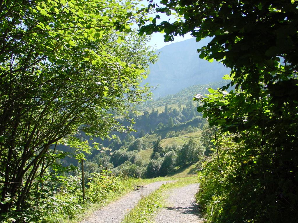 clic ici pour suivante