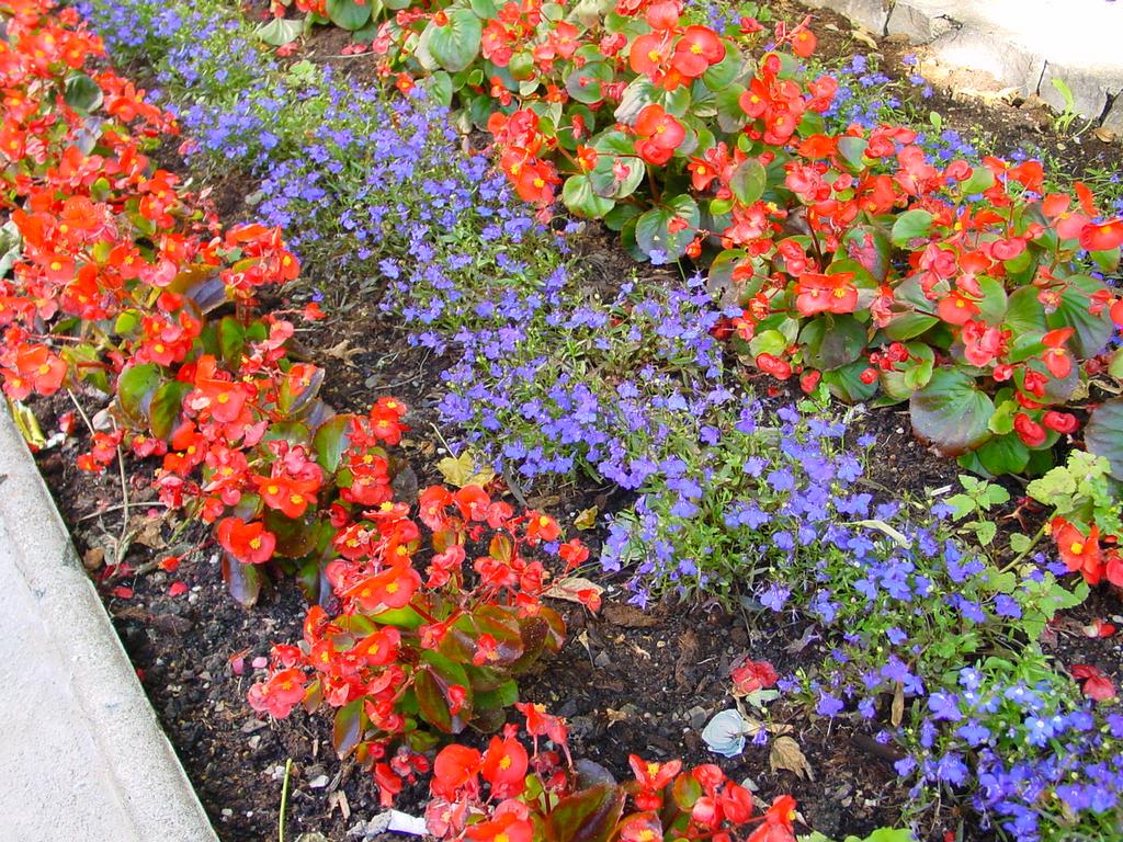 clic ici pour suivante