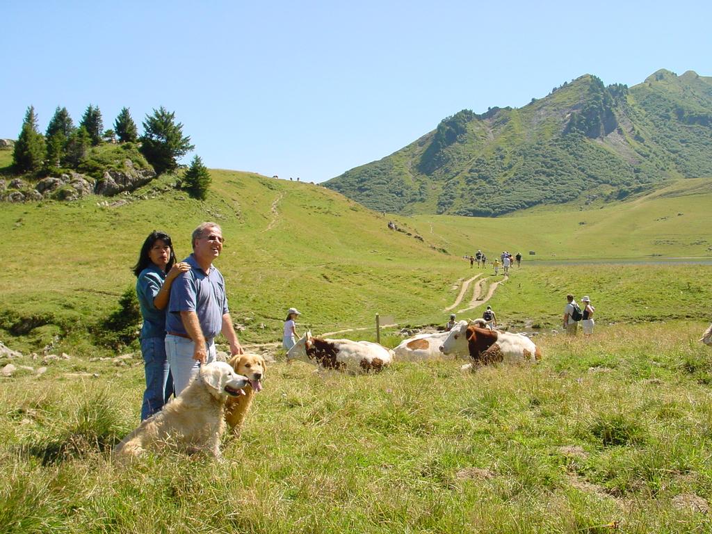 clic ici pour suivante