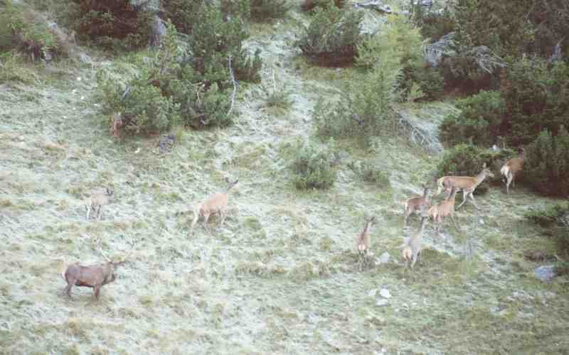 Clic ici pour voir l'image suivante