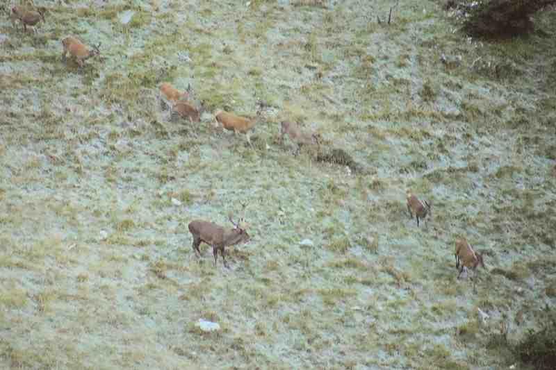 Clic ici pour voir l'image suivante