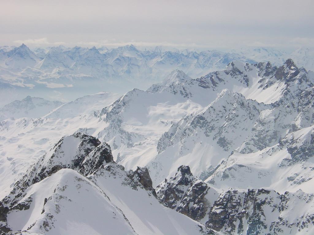 Cliqeu pour voir l'image suivante