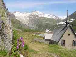 Cliquer pour agrandir l'image (800x600 :  53 KB pixels); 31.05.2003 13:48