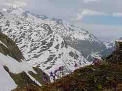 Cliquer pour agrandir l'image (800x600 :  49 KB pixels); 02.06.2003 09:31