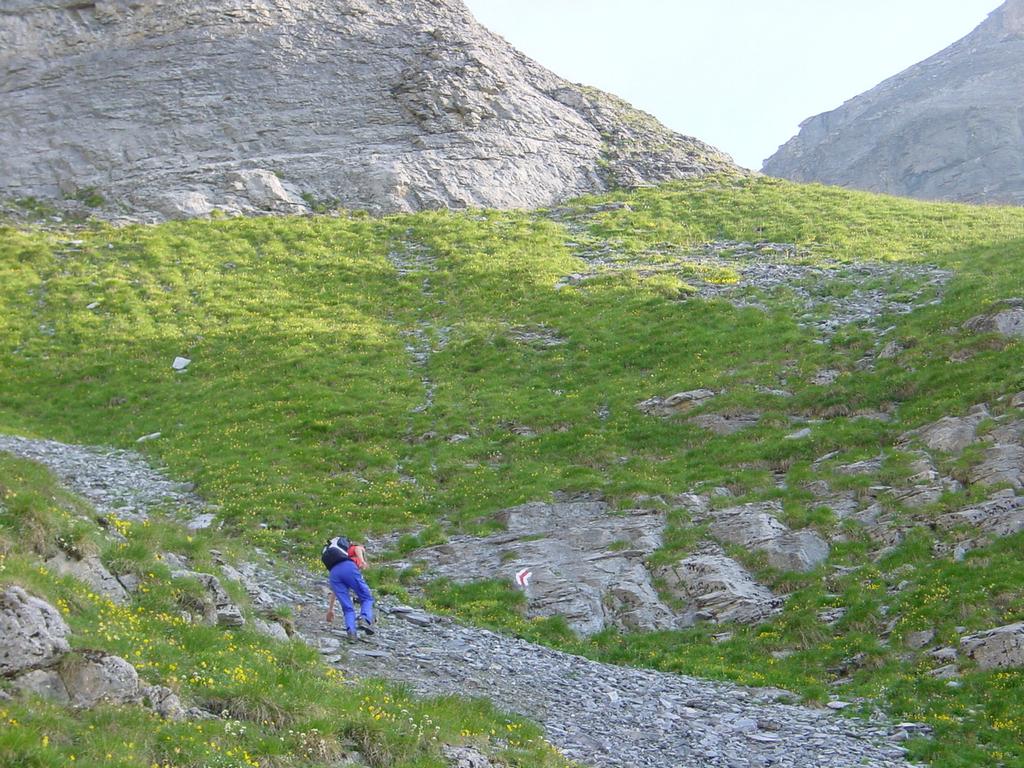 clic ici pour suivante