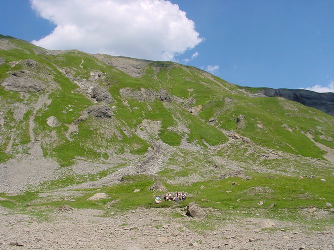 Click to see next picture