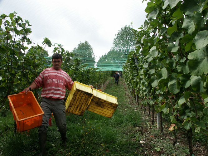 Click to see next picture