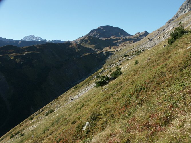 Click to see next picture