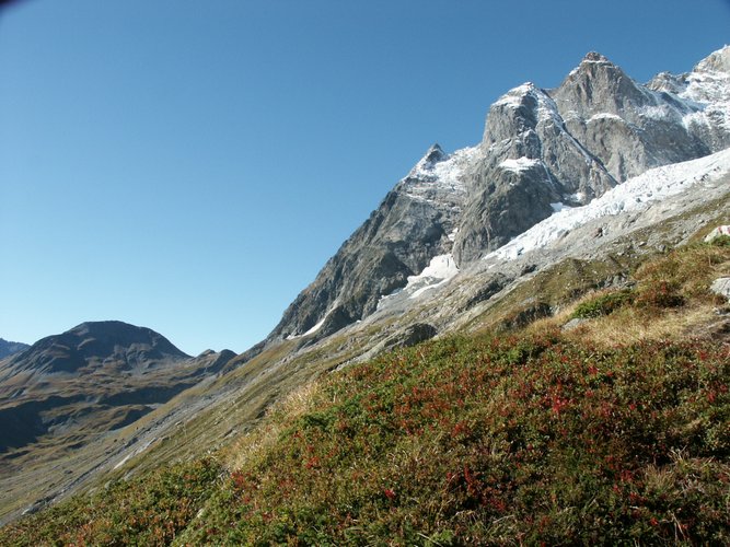 Click to see next picture