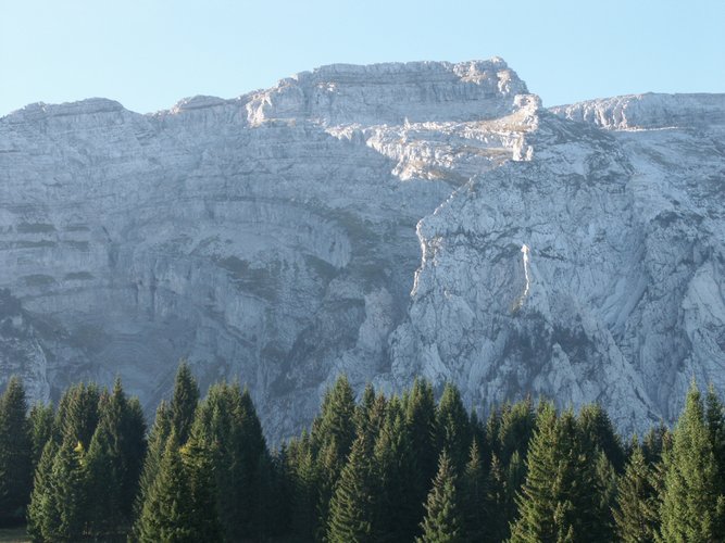 Click to see next picture