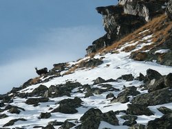 Click to see big picture (667x500 pixels; 101 KB)