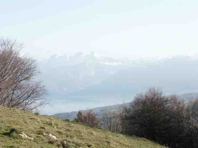 Click to see next picture