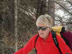 Cliquer pour agrandir l'image (800x600 :  63 KB pixels); 07.02.2004 11:34