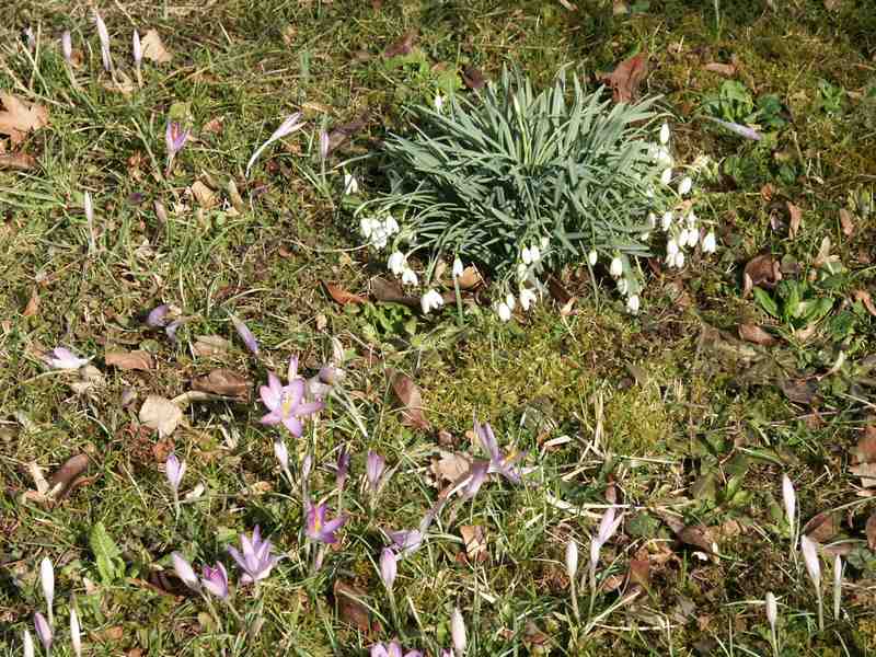 Clic ici pour voir l'image suivante