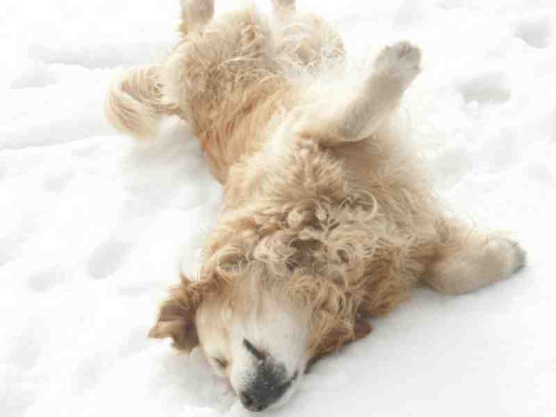 Clic ici pour voir l'image suivante