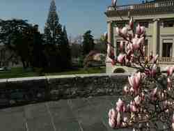 Cliquer pour agrandir l'image (800x600 :  55 KB pixels); 27.03.2004 13:56