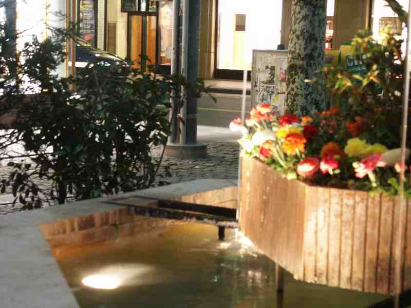 Clic ici pour voir l'image suivante