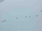 Cliquer pour agrandir l'image (800x600 :  10 KB pixels); 18.04.2004 08:51