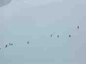 Cliquer pour agrandir l'image (800x600 :  10 KB pixels); 18.04.2004 08:51