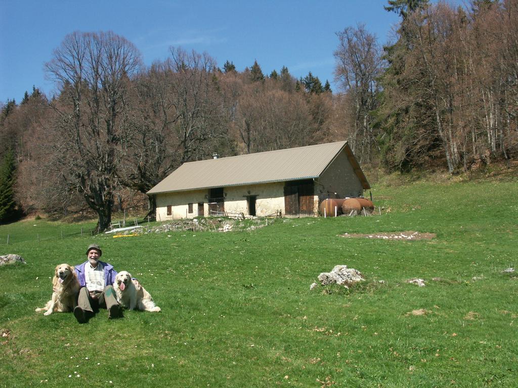 Clic pour l'image suivante