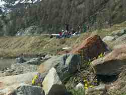 Cliquer pour agrandir l'image (800x600 :  51 KB pixels); 17.05.2004 14:10