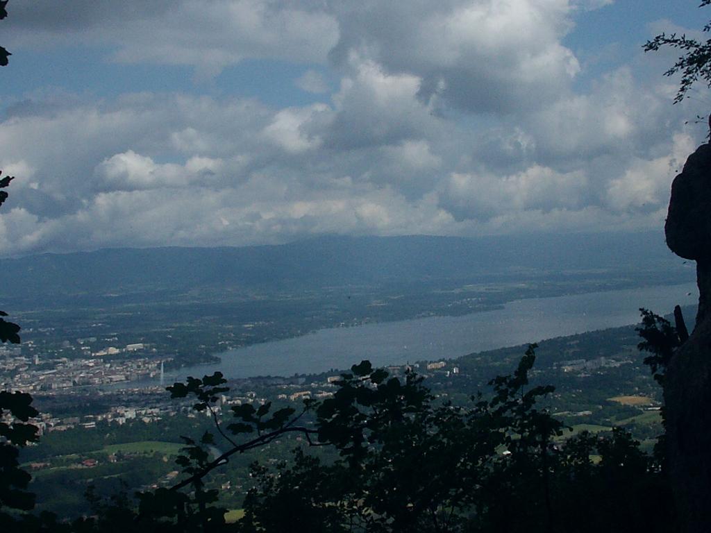 Cliquer pour voir l'image suivante