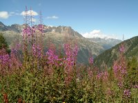 Clic dans l'image pour l'agrandir (2048x1536 pixels; 9216 KB)