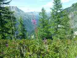 Cliquer pour agrandir l'image (1600x1200 pixels; 5625 KB)