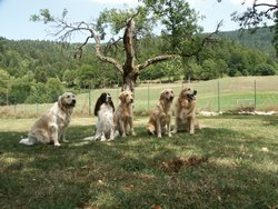 Cliquer pour agrandir l'image (1280x960 pixels; 3600 KB)