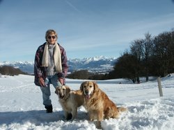 Cliquer pour agrandir l'image (1280x960 pixels; 3600 KB)