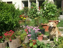 Cliquer pour agrandir l'image (1600x1200 pixels; 5625 KB)