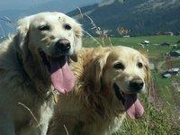 A Solaison, 9 sept.2004