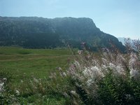 Cliquer pour agrandir l'image (1600x1200 pixels; 5625 KB)