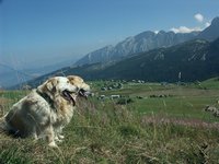 Cliquer pour agrandir l'image (1600x1200 pixels; 5625 KB)