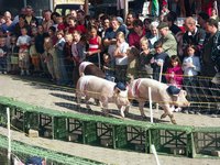 Cliquer pour agrandir l'image (1600x1200 pixels; 5625 KB)