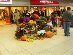 Clic pour agrandir l'image (1024x768 pixels; 139 KB)