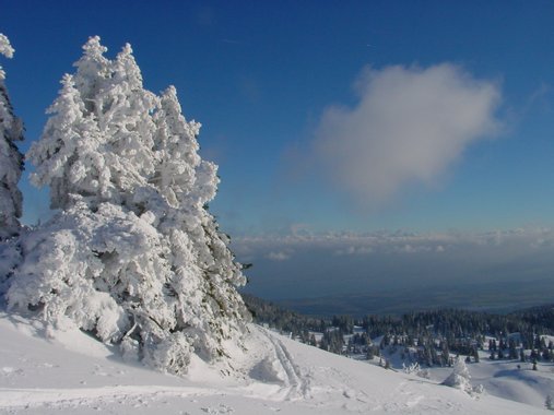 Clic ici pour voir l'image suivante