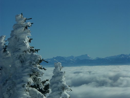 Clic ici pour voir l'image suivante