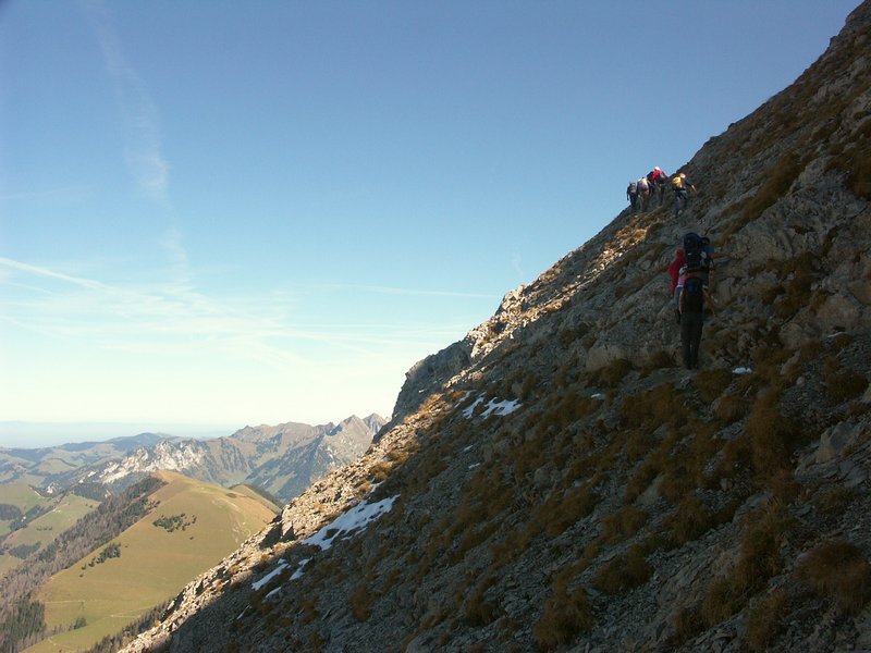 Clic ici pour voir l'image suivante