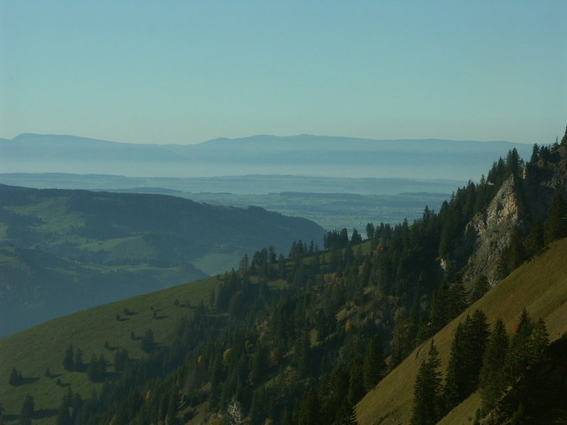 Clic ici pour voir l'image suivante