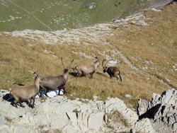 Cliquer pour agrandir l'image (800x600 pixels; 139 KB)