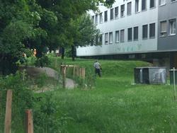 Cliquer pour agrandir l'image (1600x1200 pixels; 5625 KB)