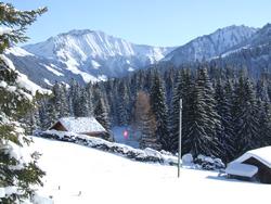 Cliquer pour agrandir l'image (2048x1536 pixels; 9216 KB)