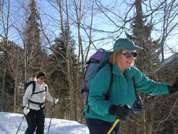 Cliquer pour agrandir l'image (1024x768 pixels; 259 KB)